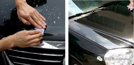 美國禿鷹汽車貼膜