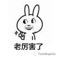 美國禿鷹TeckWrap亞面金屬金VCH308厲害