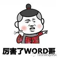 美國禿鷹TeckWrap亞面金屬金VCH308厲害我的哥