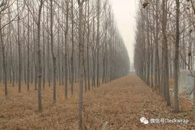 冬天天氣寒冷，草木枯黃凋落。
