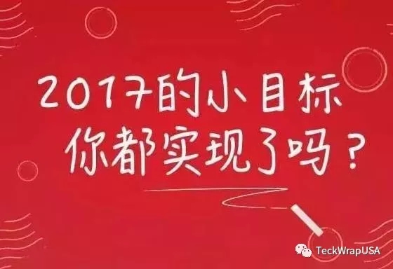 美國禿鷹車身貼膜小目標